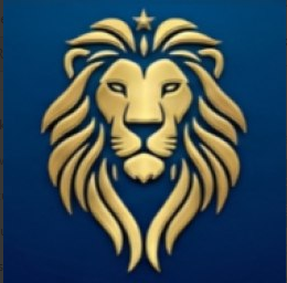 9 Star Water Logo